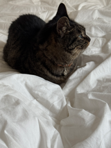 足型・手形 ・オリジナルデータ刻印専用プレート| Nuance Oval plate【厚みあり】シルバー925