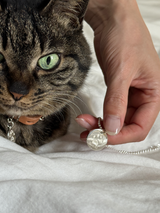 足型・手形 ・オリジナルデータ刻印専用プレート| 18mm Round plate【厚みあり】