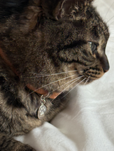 足型・手形 ・オリジナルデータ刻印専用プレート| Nuance Oval plate【厚みあり】シルバー925