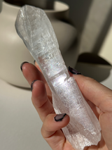 【MOMOMOON】Brazil Lemurian root Quartz 【MZ0610-1-B】