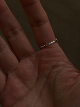 William Ring/11号〜15号