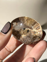 【MOMOMOON】Garden Quartz 【MZ0610-10-C】