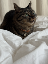 足型・手形 ・オリジナルデータ刻印専用プレート| Nuance Oval plate【厚みあり】シルバー925