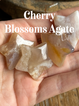 【MOMOMOON】Mini star