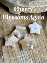 【MOMOMOON】Mini star