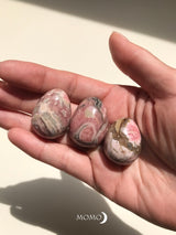 【MOMOMOON】 Inca Rose Egg 【2】