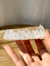 【MOMOMOON】Arkansas quartz cluster【MZ0406-5】