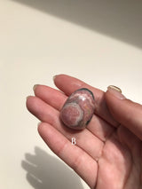 【MOMOMOON】 Inca Rose Egg 【2】