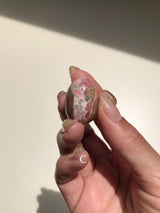 【MOMOMOON】 Inca Rose Egg 【1】