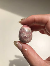 【MOMOMOON】 Inca Rose Egg 【2】