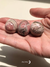 【MOMOMOON】 Inca Rose Egg 【2】