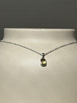 【MOMOMOON】虹入り メキシコ産ゴールデンアパタイト ペンダントトップ  | 天然石・鉱石・パワーストーン